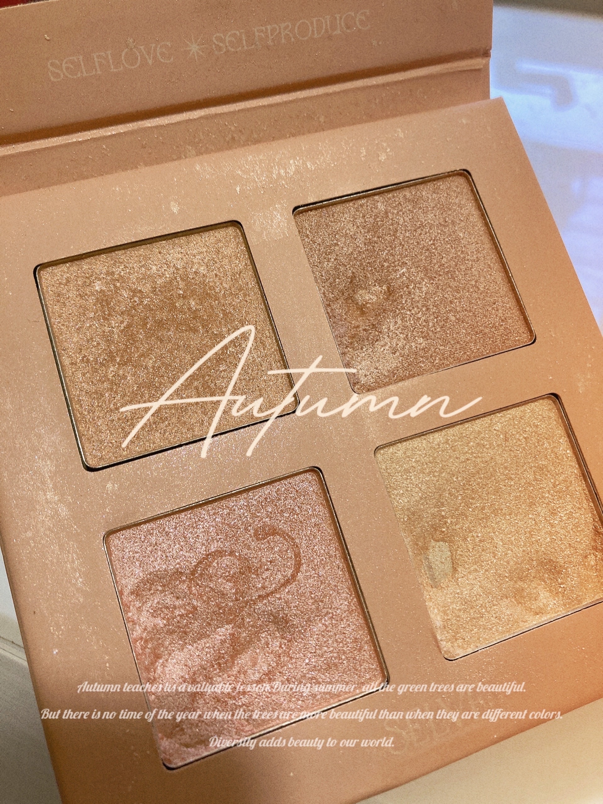 プリズムショットマルチハイライトパレット 01 ブロッサムピーチ/SELVE/パウダーハイライトを使ったクチコミ（1枚目）