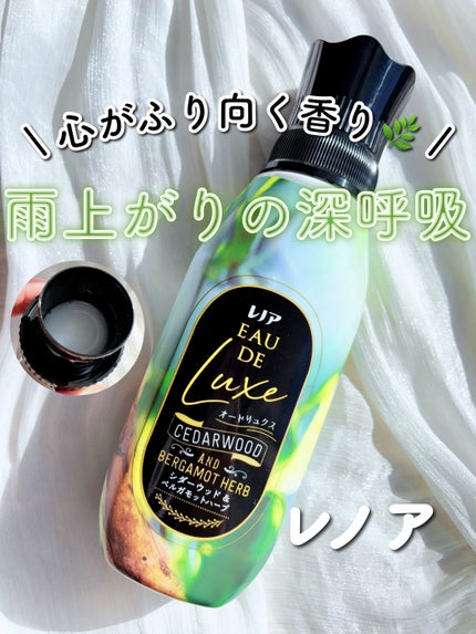 レノア オードリュクス シダーウッド&ベルガモットハーブの香り/レノア/柔軟剤を使ったクチコミ(1枚目)