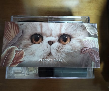 3段式クリアーケース/DAISO/その他化粧小物を使ったクチコミ(4枚目)