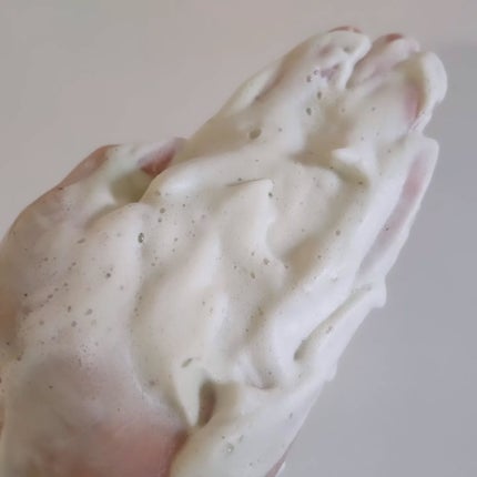 グリーントマトクレイマスククレンザー/FULLY/洗い流すパック・マスクを使ったクチコミ(6枚目)