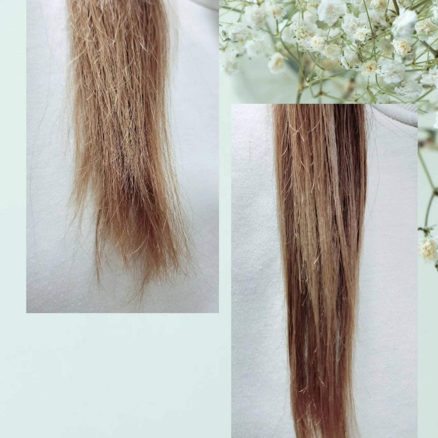 アンドペア コントロール モイスト 2in1 ヘアミルクミスト/&PAIR/ヘアミストを使ったクチコミ(3枚目)