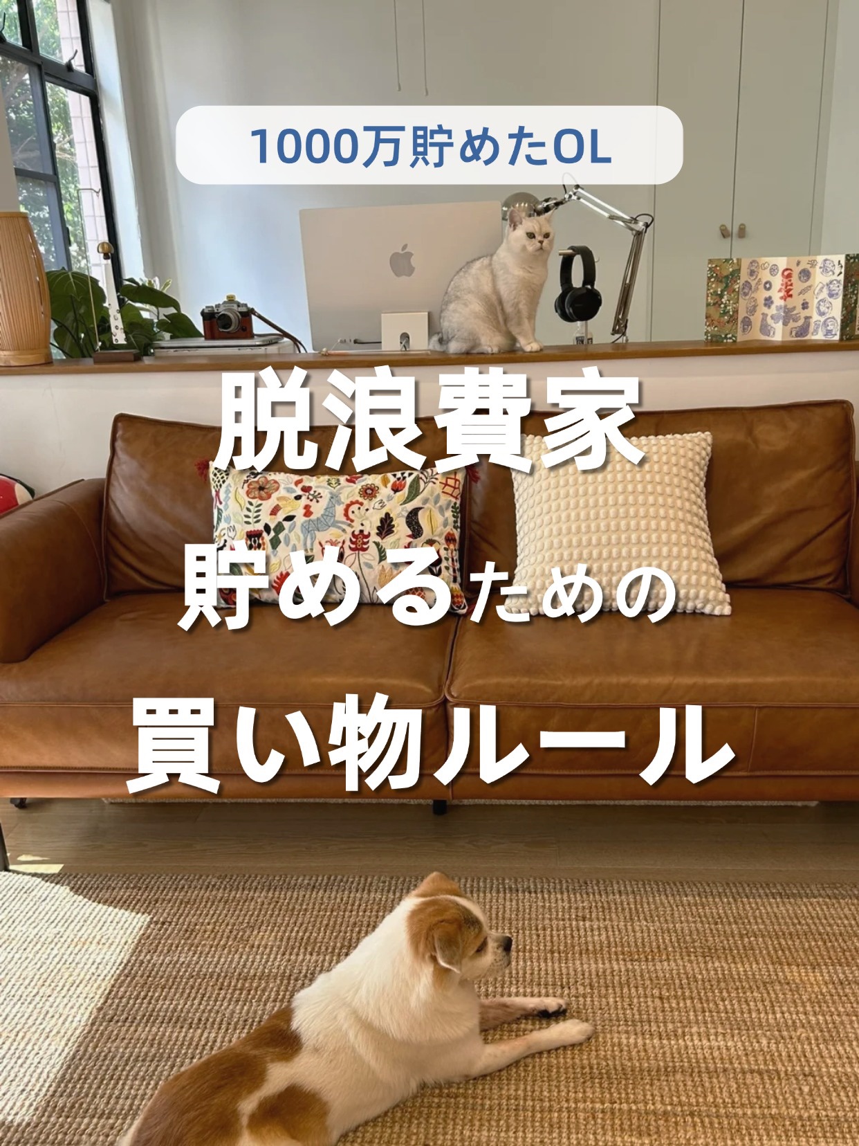 アネトス バランシング トリートメントクリーム/Anetos/フェイスクリームを使ったクチコミ（1枚目）