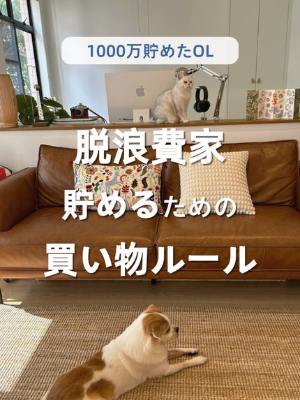 アネトス バランシング トリートメントクリーム/Anetos/フェイスクリームを使ったクチコミ(1枚目)