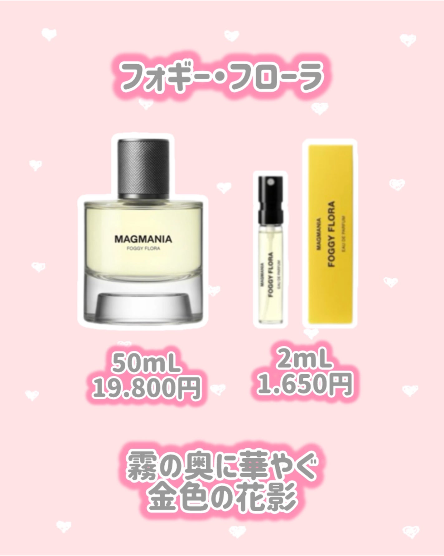 DISCOVERY SET/MAGMANIA/その他キットセットを使ったクチコミ(4枚目)