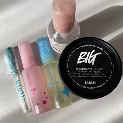 バングフィクサー/シークレットサロン/ヘアミストを使ったクチコミ(1枚目)