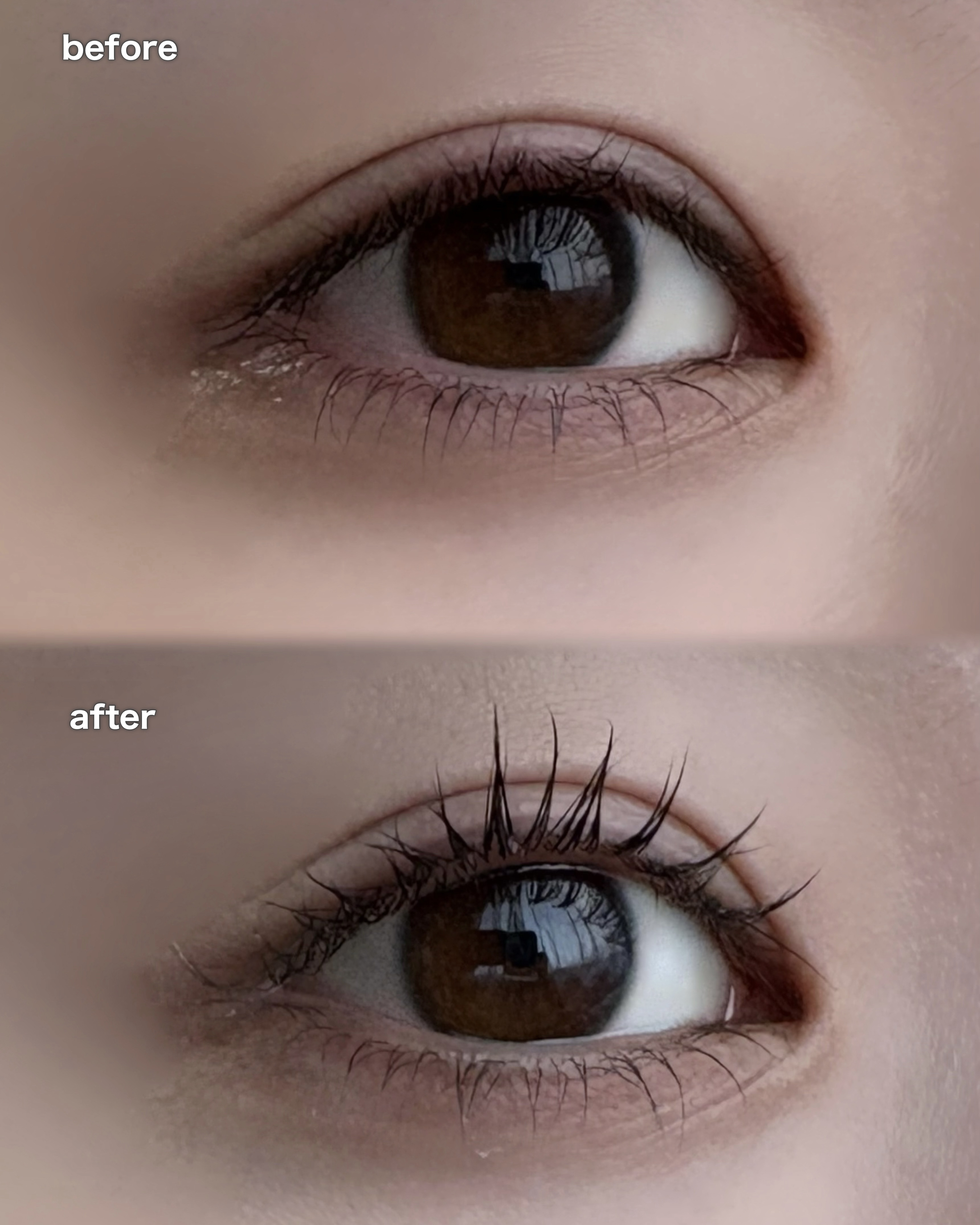 アイラッシュコーティングセラム/COSNORI/まつげ美容液を使ったクチコミ（2枚目）