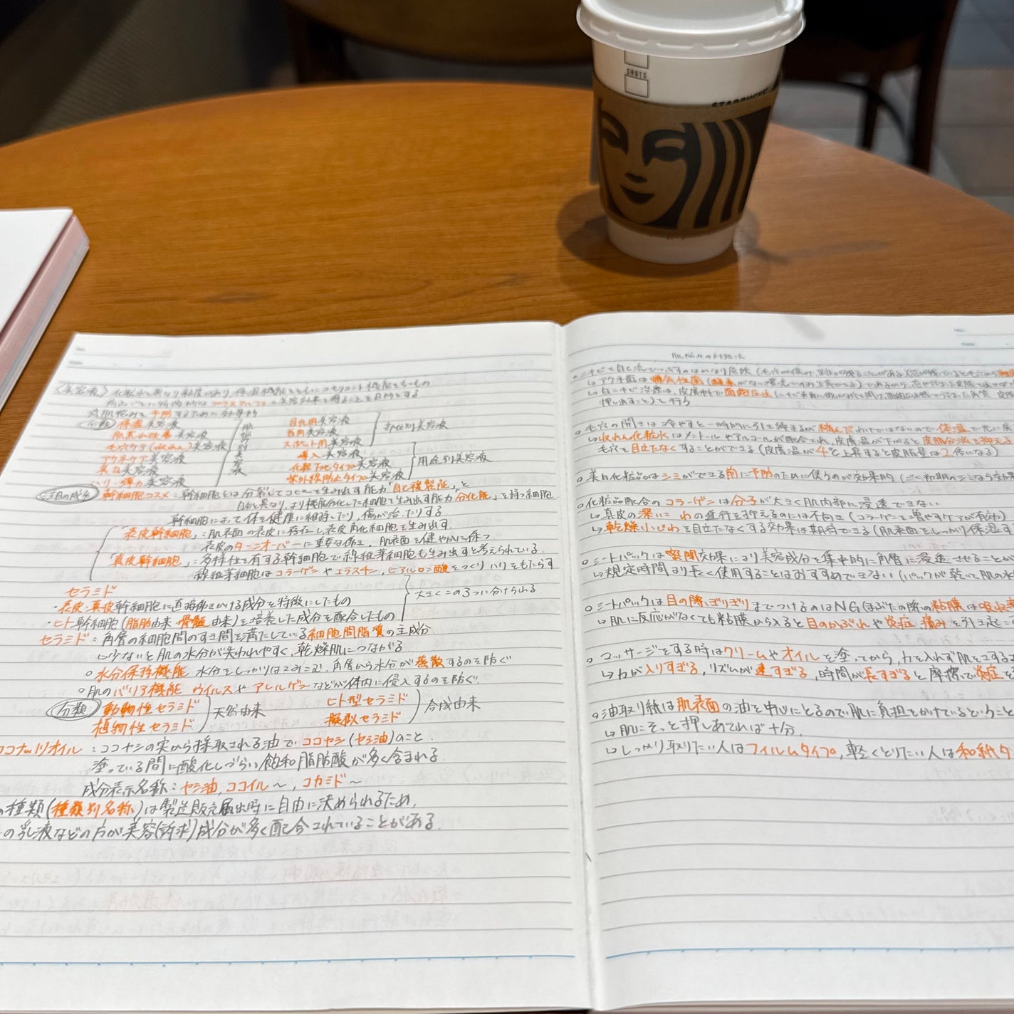 みな┊︎黄み肌青み吸収ブルベ🍇 on LIPS 「11月30日に控える#日本化粧品検定に向けて受験勉強中…!私は..」(1枚目)