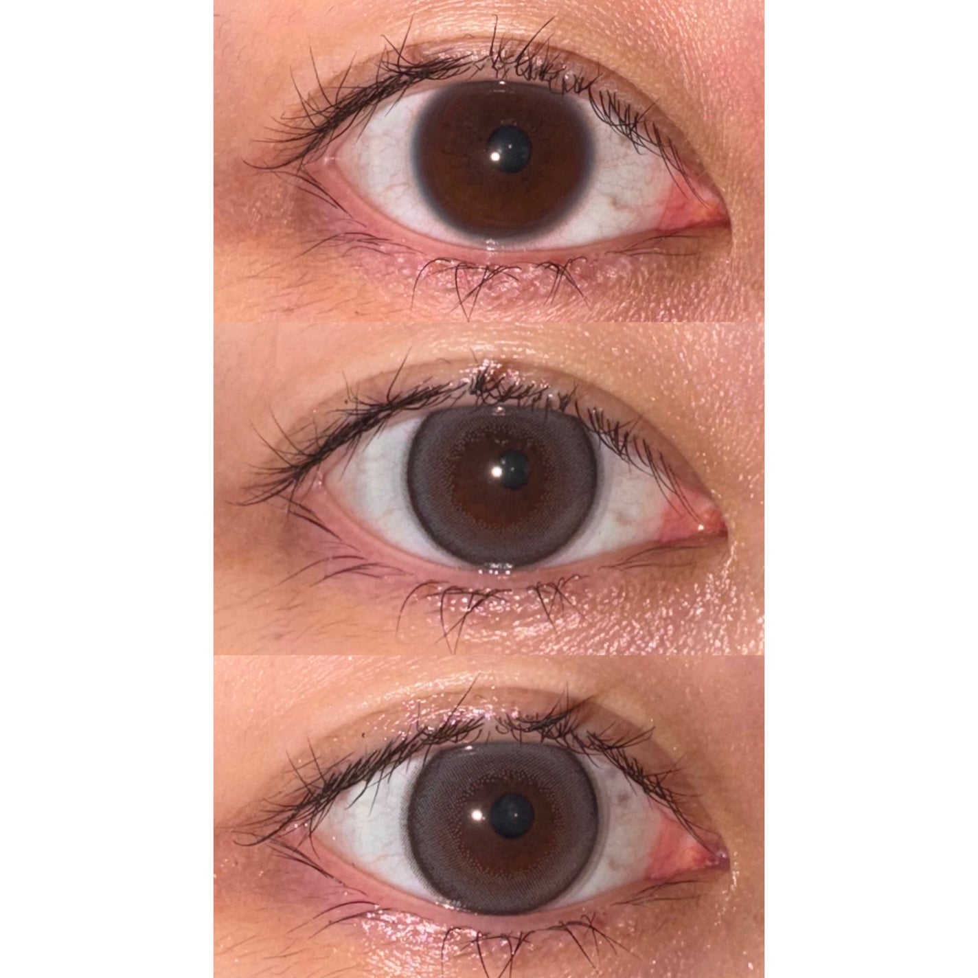 GRAY CONTOUR/malun malun/ワンデー(1DAY)カラコンを使ったクチコミ(3枚目)