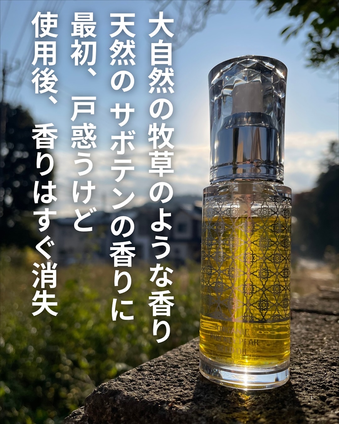 モロッコ100％オーガニック ウチワサボテンオイル｜Natural Majestyの