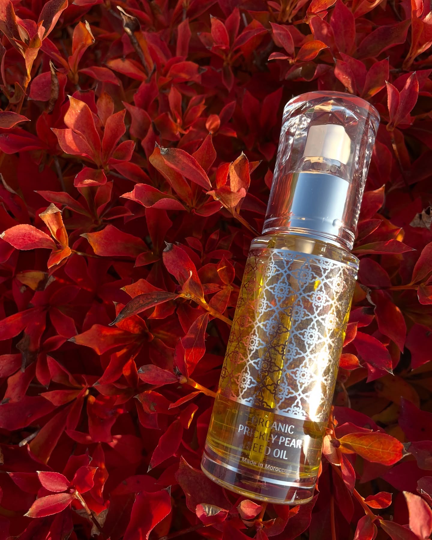 モロッコ100％オーガニック ウチワサボテンオイル｜Natural Majestyの