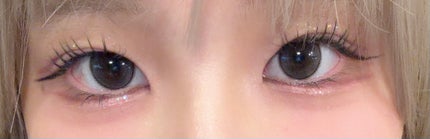 eye closet 1DAY ホログレー/EYE CLOSET/ワンデー(1DAY)カラコンの画像