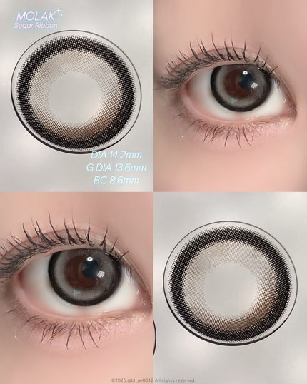MOLAK 1day/MOLAK/ワンデー(1DAY)カラコンを使ったクチコミ(2枚目)