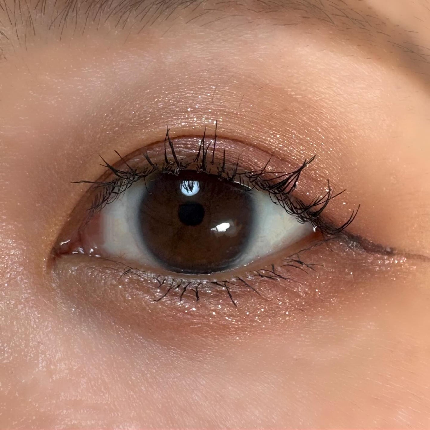 ドラマティックアイカラー (パウダー)/(クリーム)/マキアージュ/アイシャドウパレットを使ったクチコミ(2枚目)