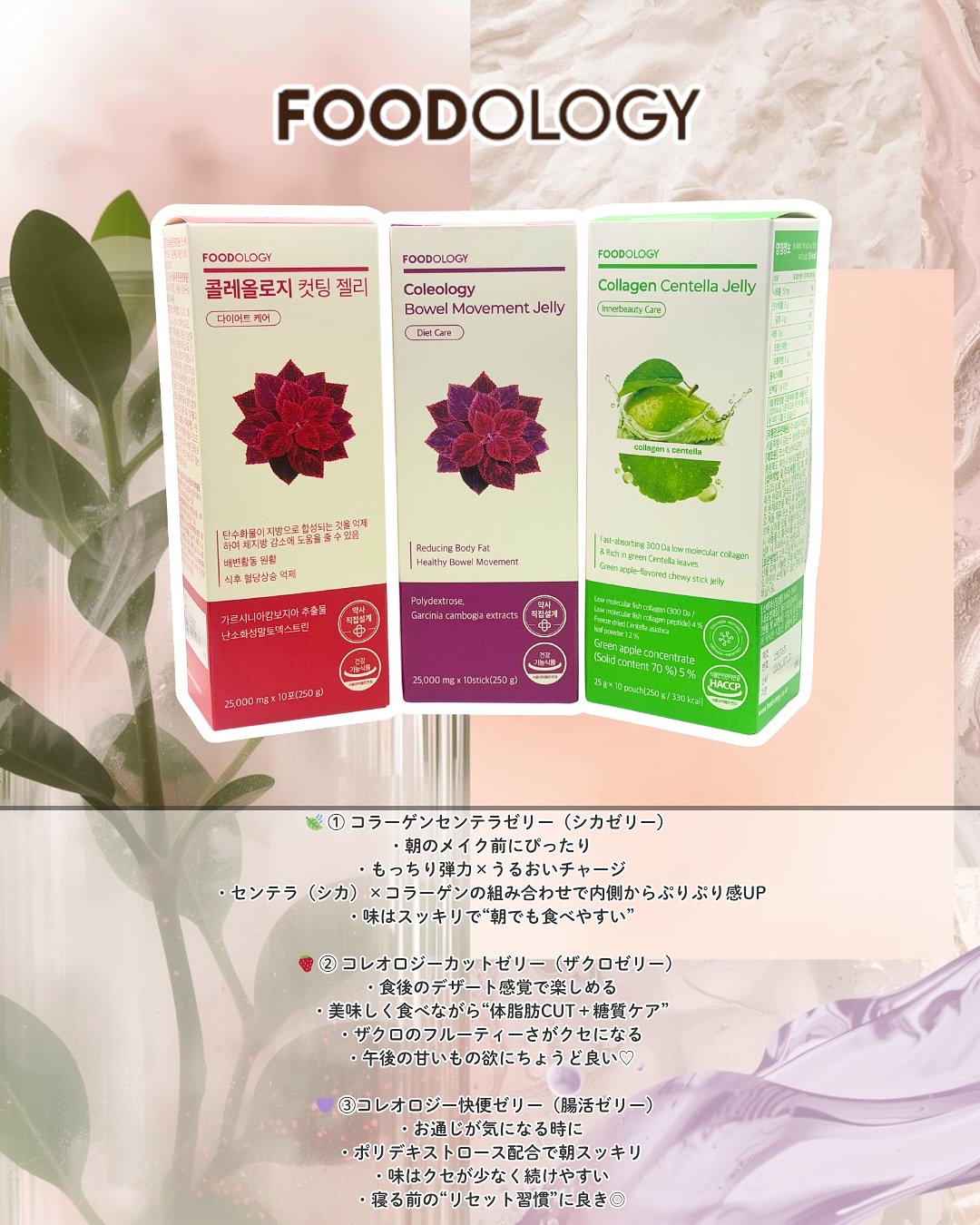 コレオロジーカットゼリー/FOODOLOGY/食品を使ったクチコミ（2枚目）