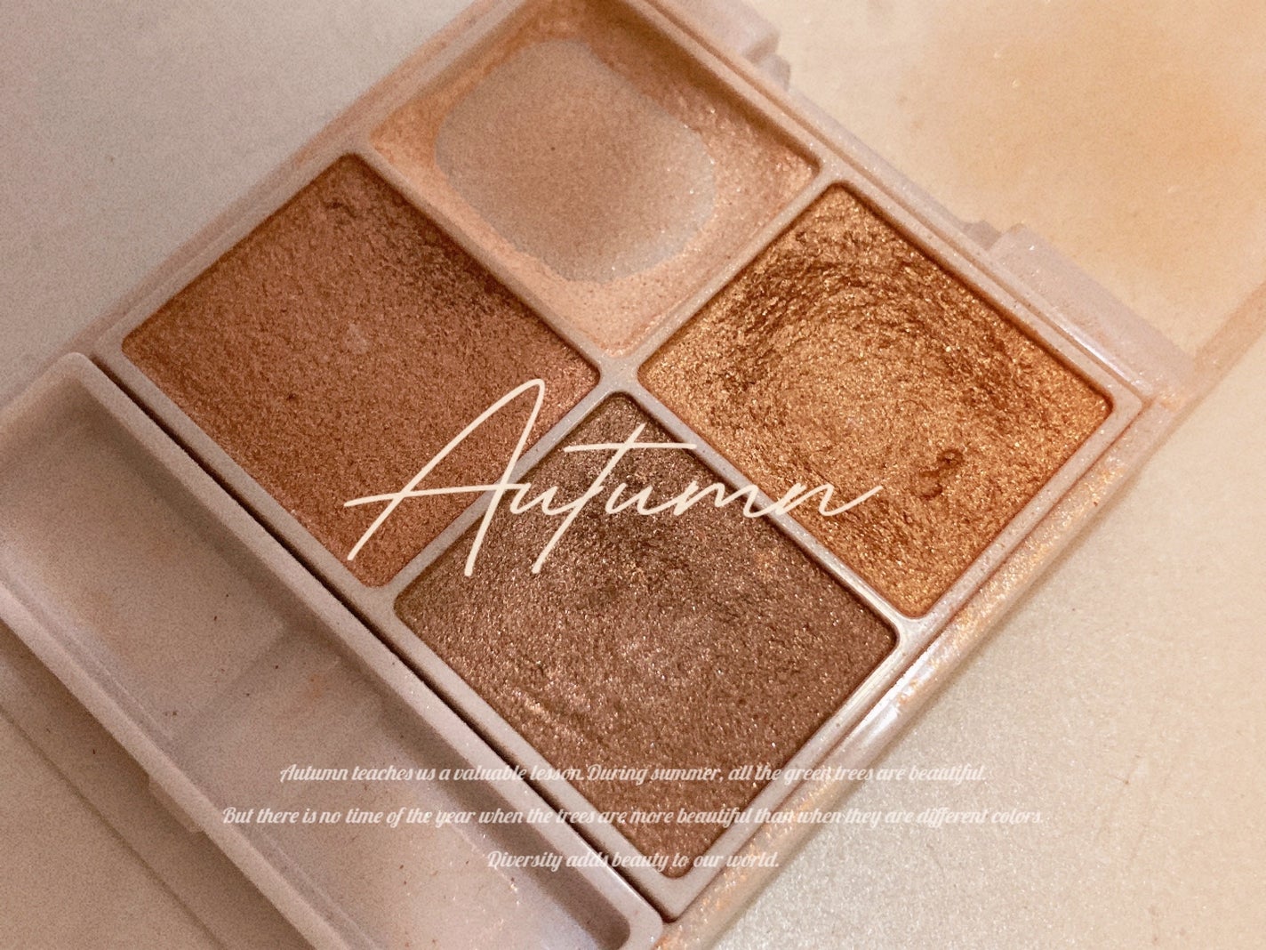 シルキースフレアイズ(マットタイプ)/キャンメイク/アイシャドウパレットを使ったクチコミ(1枚目)