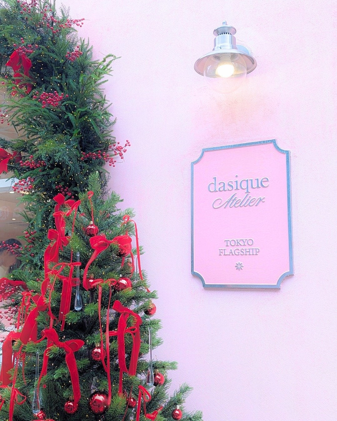 シャドウパレット/dasique/アイシャドウパレットを使ったクチコミ(2枚目)