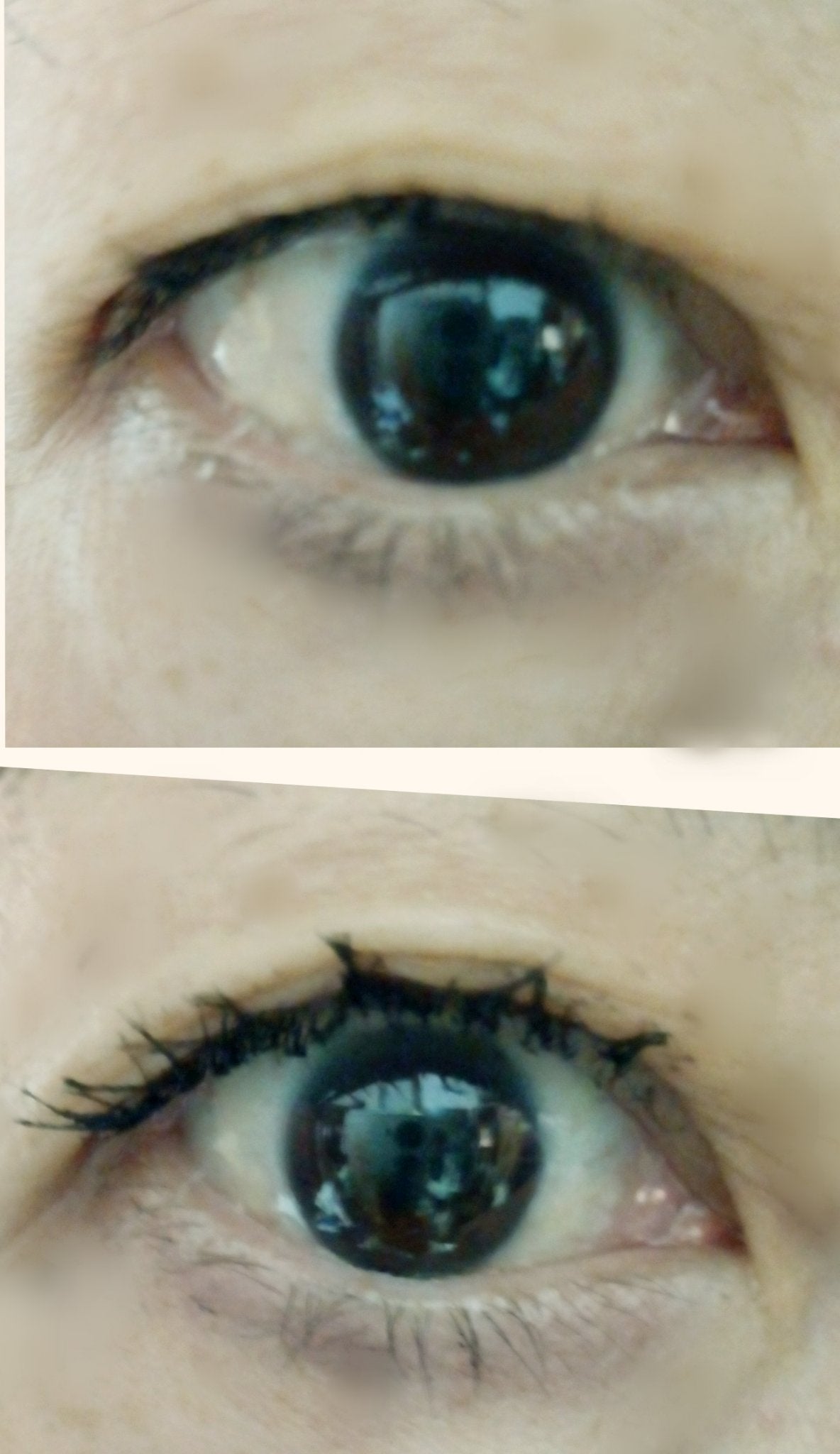 クイックラッシュカーラー/キャンメイク/マスカラ下地を使ったクチコミ(4枚目)