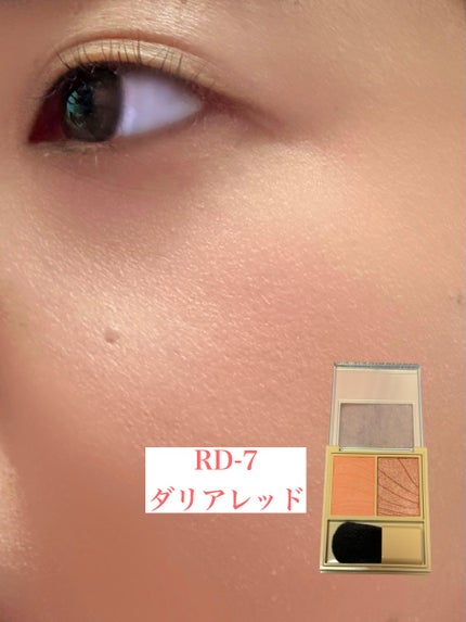 レイヤード フルリ チーク/Visée/パウダーチークを使ったクチコミ(9枚目)