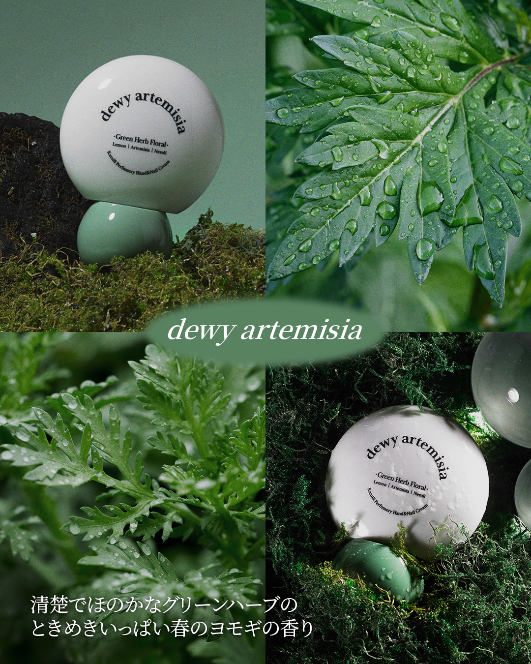 パフューマリー ハンド＆ネイルクリーム デューイアルテミシア 50ml/カミール/ハンドクリームを使ったクチコミ（1枚目）