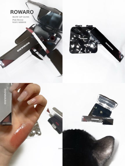 ブローリップグロス/ROWARO/リップグロスを使ったクチコミ(1枚目)