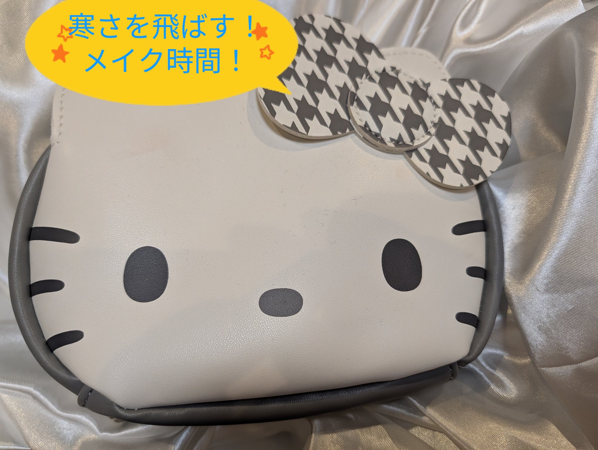 HELLO KITTY × BRILMY 中身が見えて時短がかなう ズボラに優しいコスメポーチ BOOK/宝島社/雑誌を使ったクチコミ（1枚目）