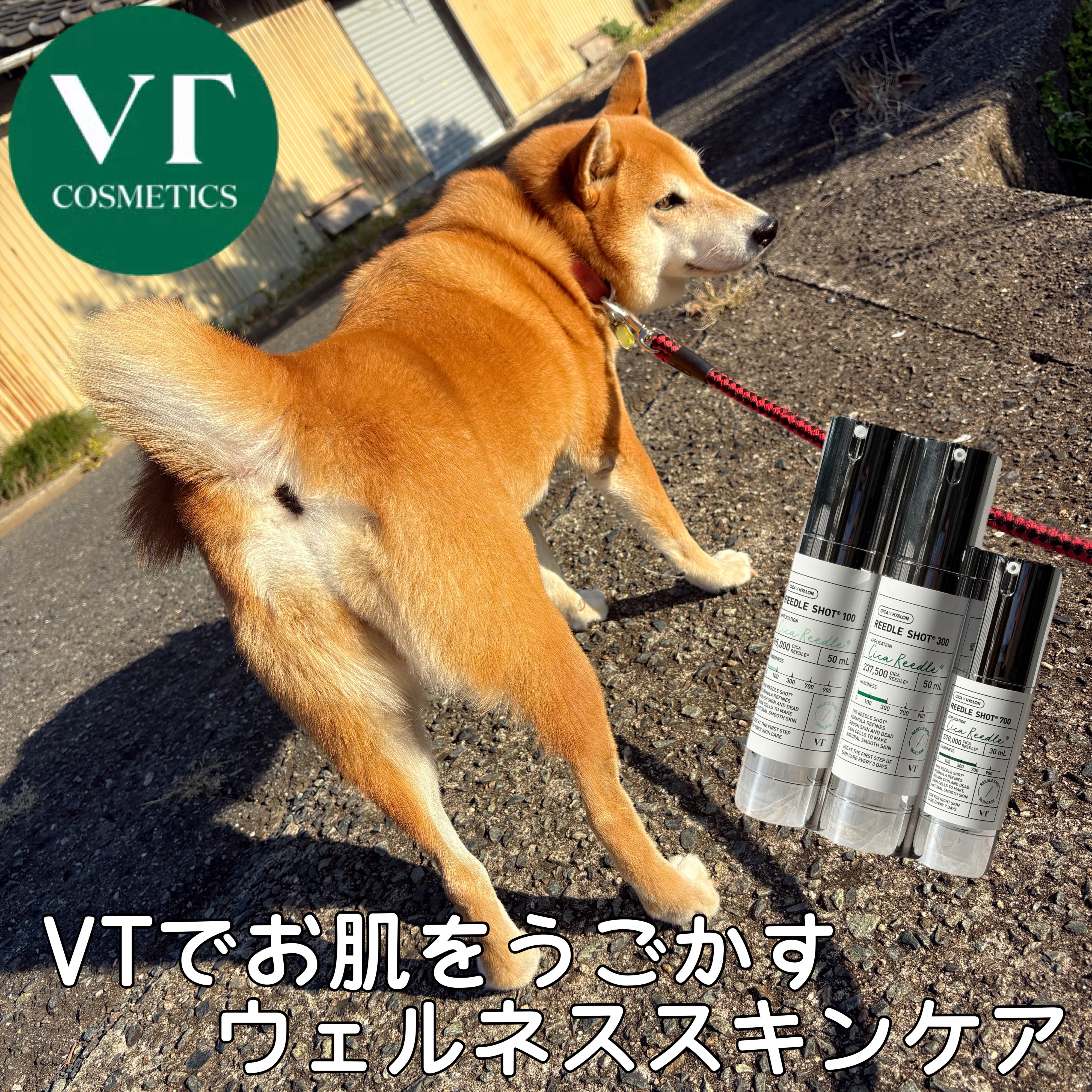 リードルショット100/VT/美容液を使ったクチコミ（1枚目）