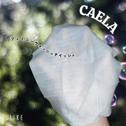 フェミニンウォッシュ ジェル/CAERA/デリケートゾーンケアを使ったクチコミ(5枚目)