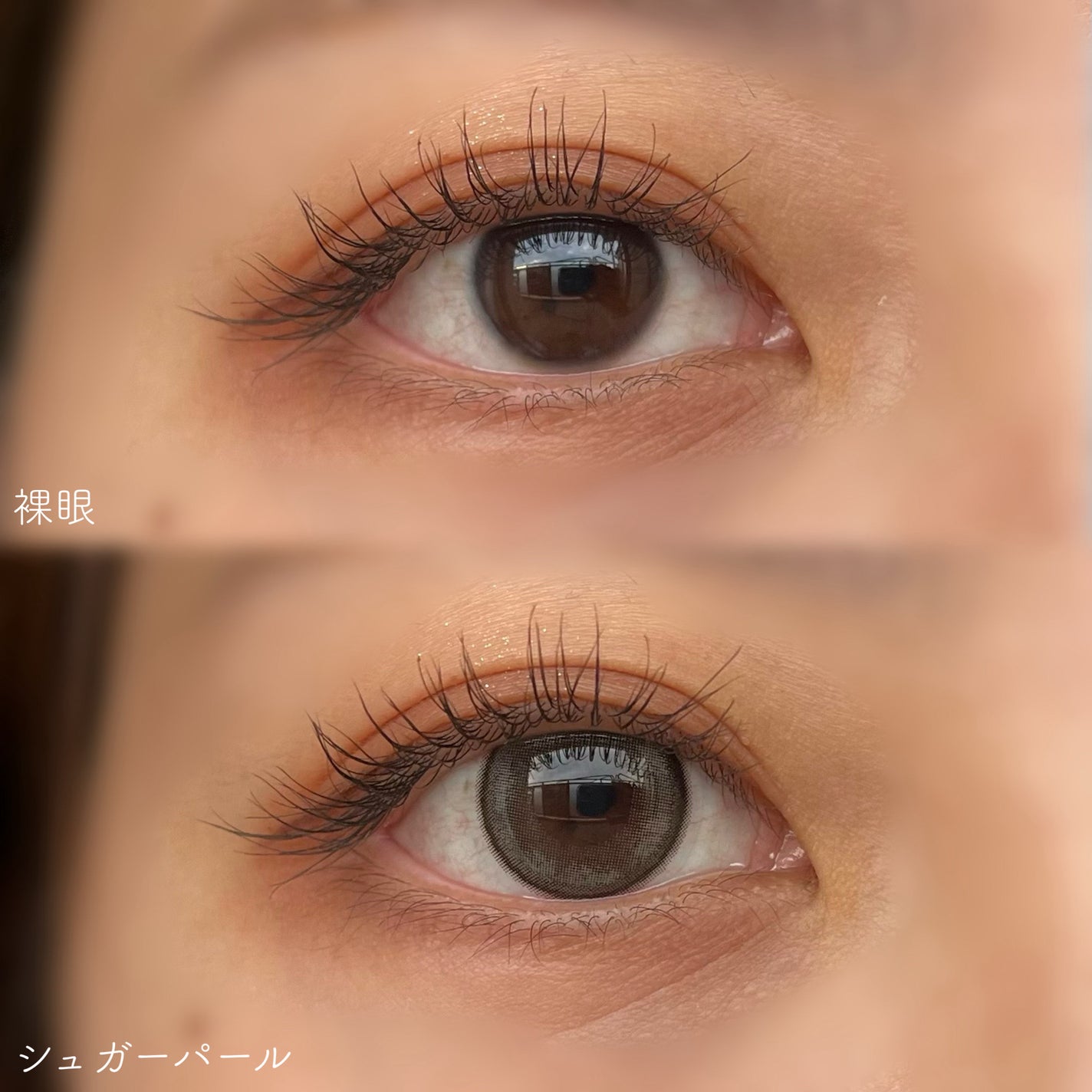 feliamo 1day/feliamo/ワンデー(1DAY)カラコンを使ったクチコミ(4枚目)