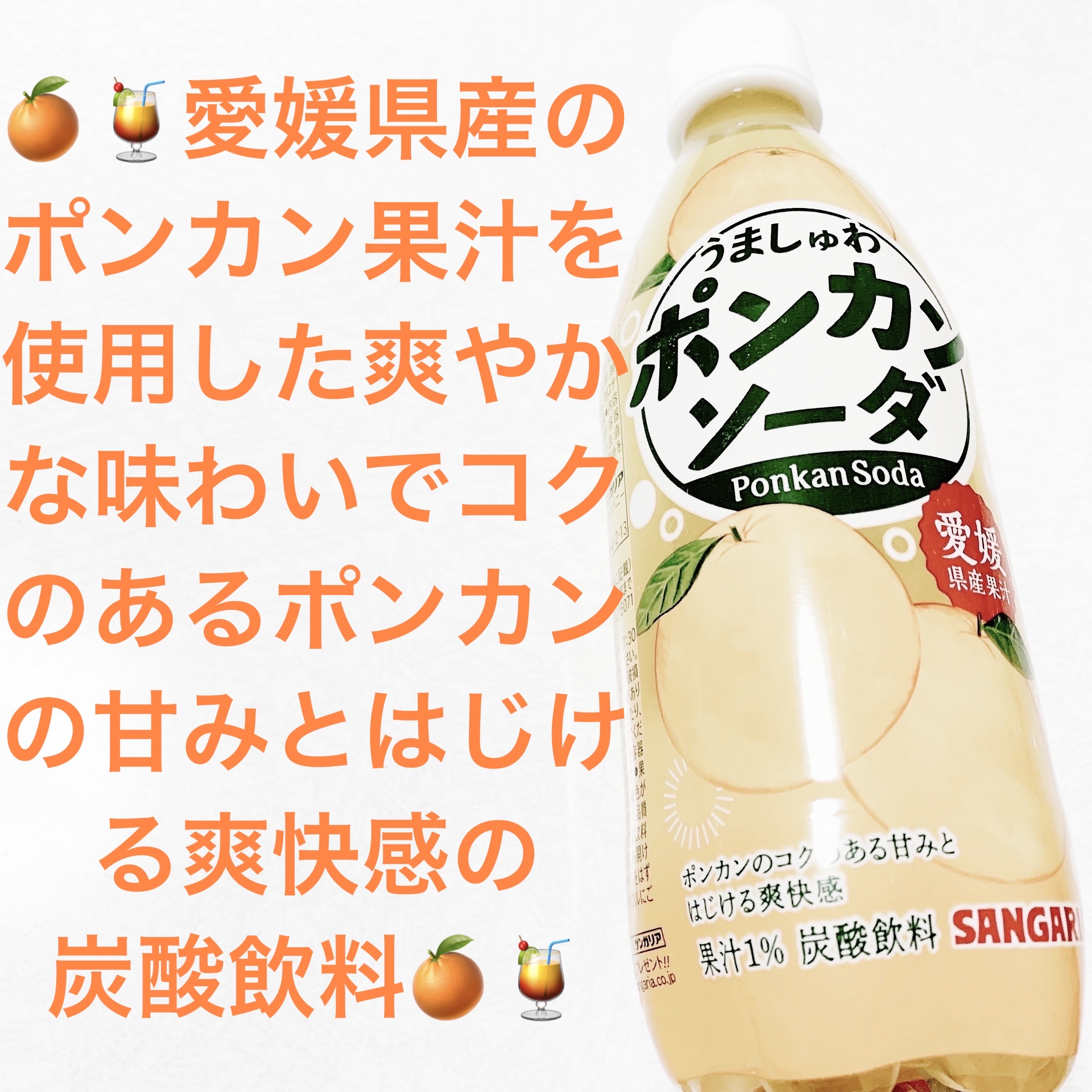 うましゅわポンカンソーダ/サンガリア/その他ドリンクを使ったクチコミ（1枚目）