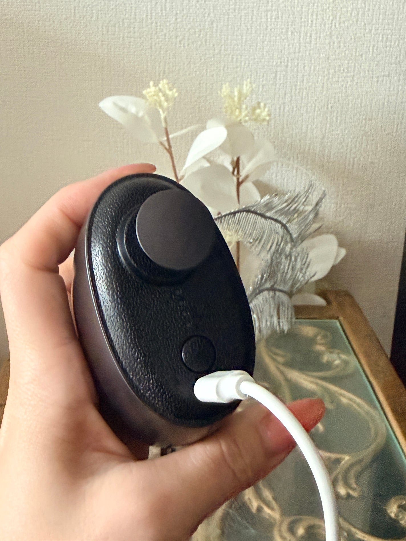 BEGUN/NIPLUX/美顔器・マッサージを使ったクチコミ(5枚目)