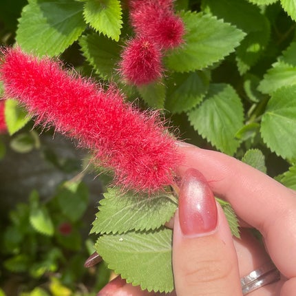 #ネイル,#ジェルネイル,#キラキラネイル,#簡単ネイル,#夏ネイル,#秋ネイル,#冬ネイル,#大人ネイル,#大人ネイル,#韓国ネイル,#フットネイル,#キャラネイル,#キャラクターネイルのネイルデザイン