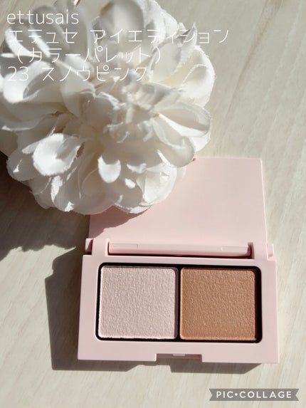 エテュセ アイエディション(カラーパレット)/ettusais/アイシャドウパレットを使ったクチコミ(3枚目)