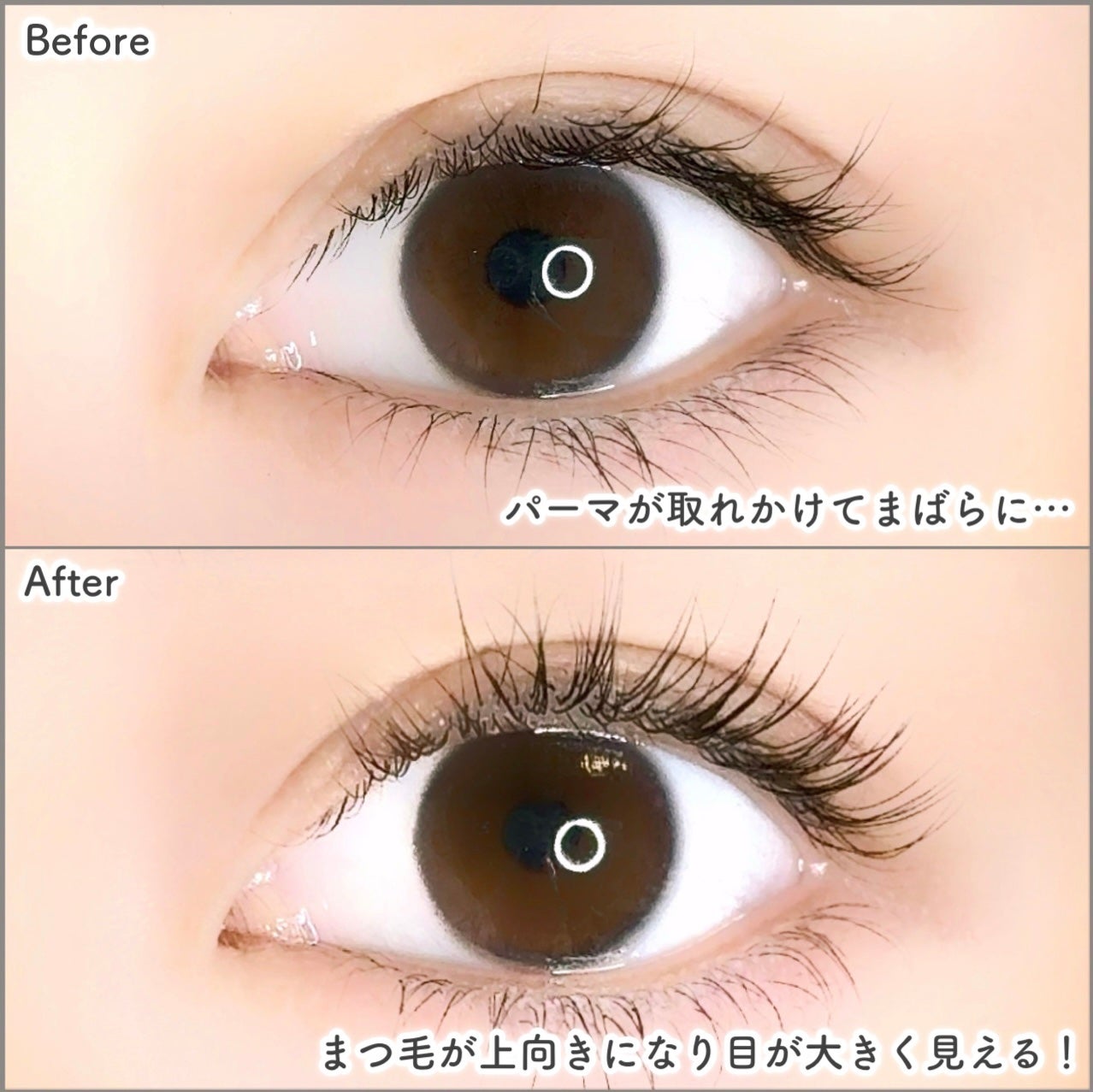 イージーアイラッシュリフトキット/COSNORI/その他キットセットを使ったクチコミ(5枚目)