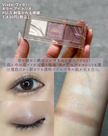 スキニーリッチシャドウ/excel/アイシャドウパレットを使ったクチコミ(5枚目)