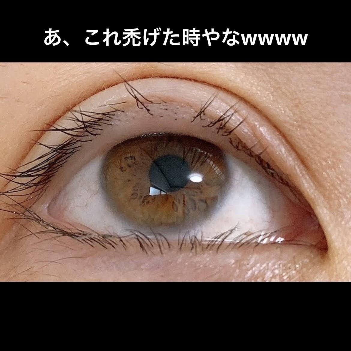 EMAKED（エマーキット）/水橋保寿堂製薬/まつげ美容液を使ったクチコミ（3枚目）