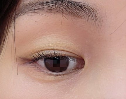 ソフトブラーリングアイパレット/wakemake/アイシャドウパレットを使ったクチコミ(2枚目)