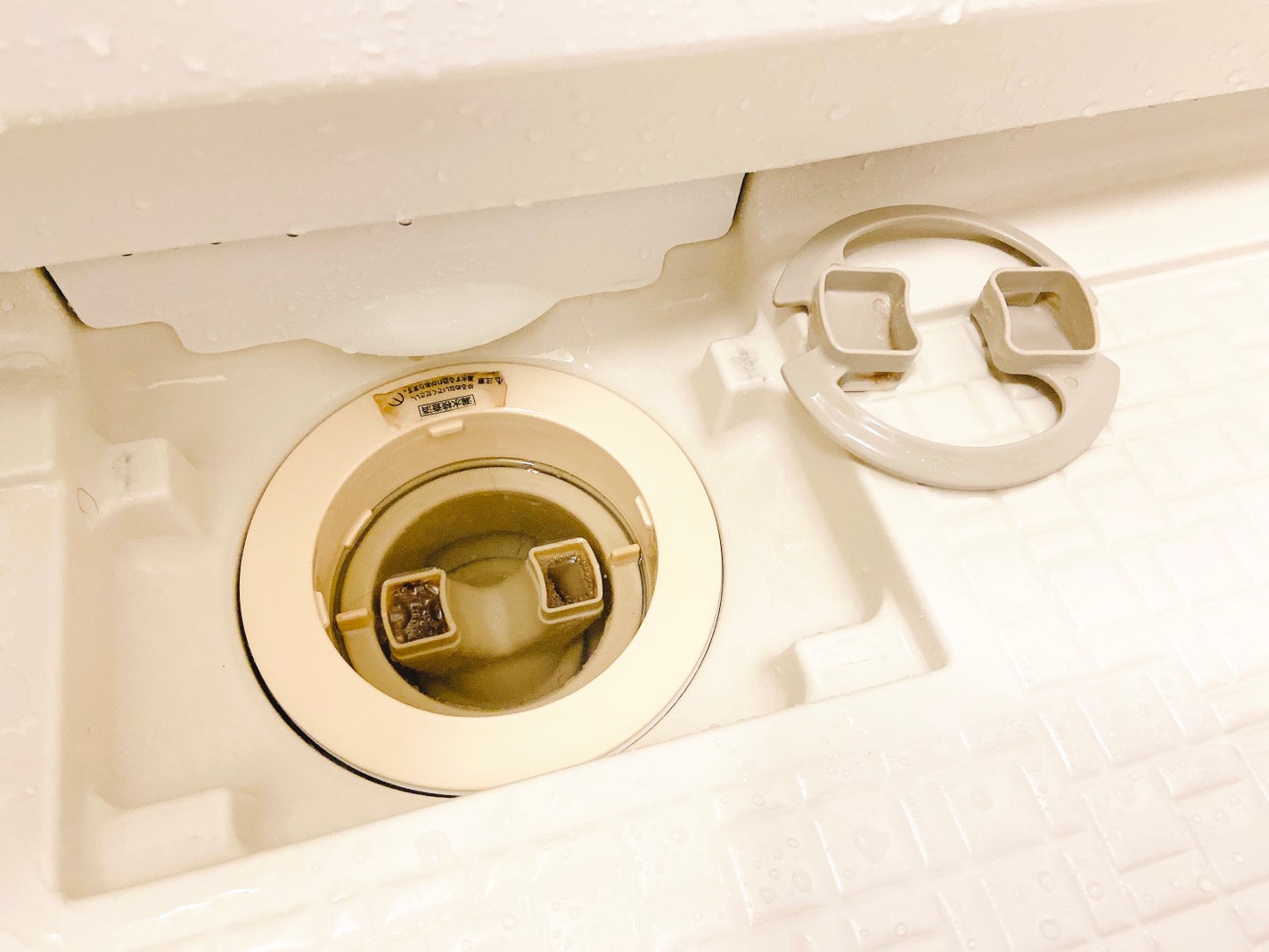 MOLD-X PRO./MOLD-X/その他を使ったクチコミ(9枚目)