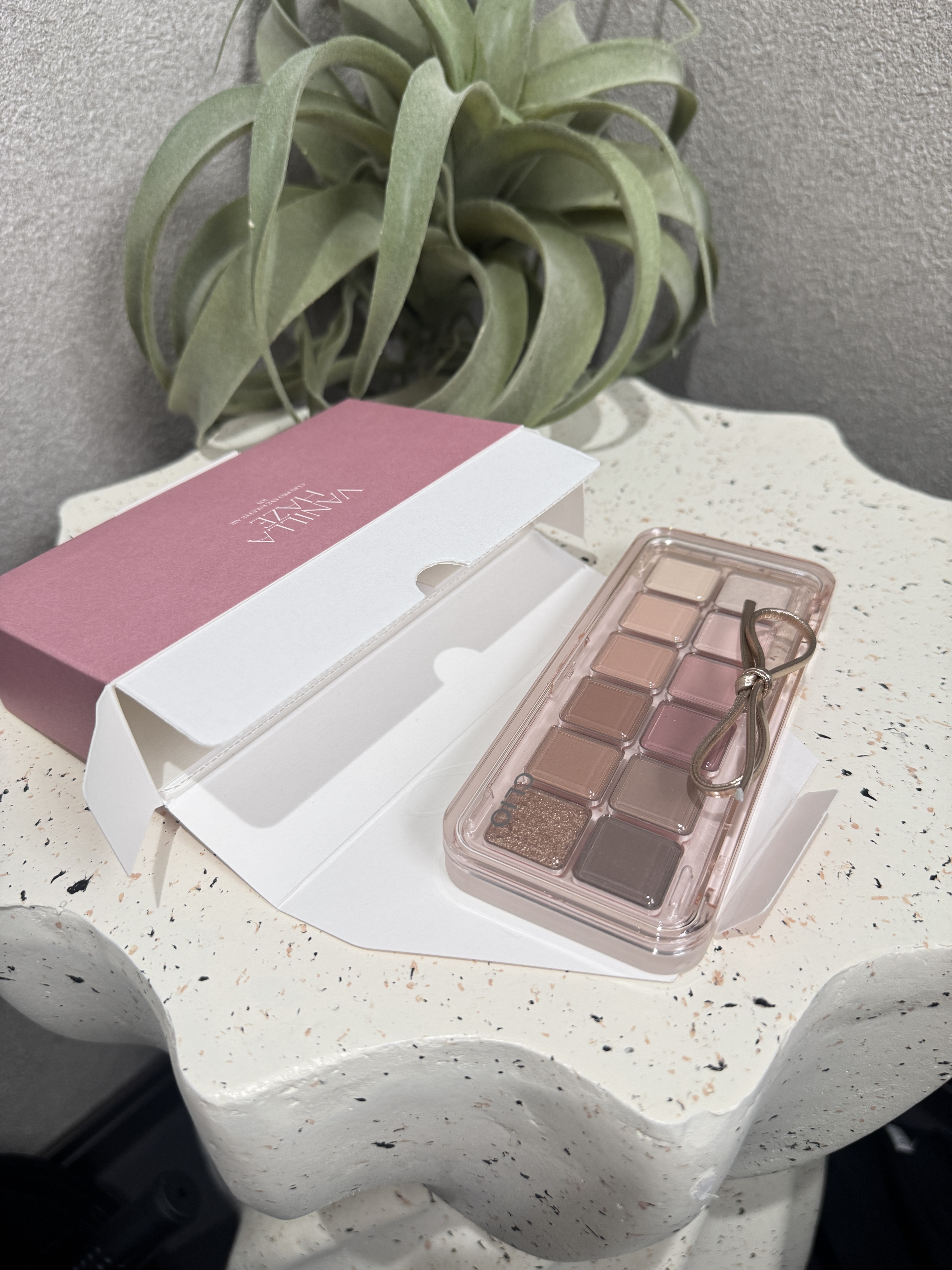 プロ アイ パレット エアー/CLIO/アイシャドウパレットを使ったクチコミ（3枚目）