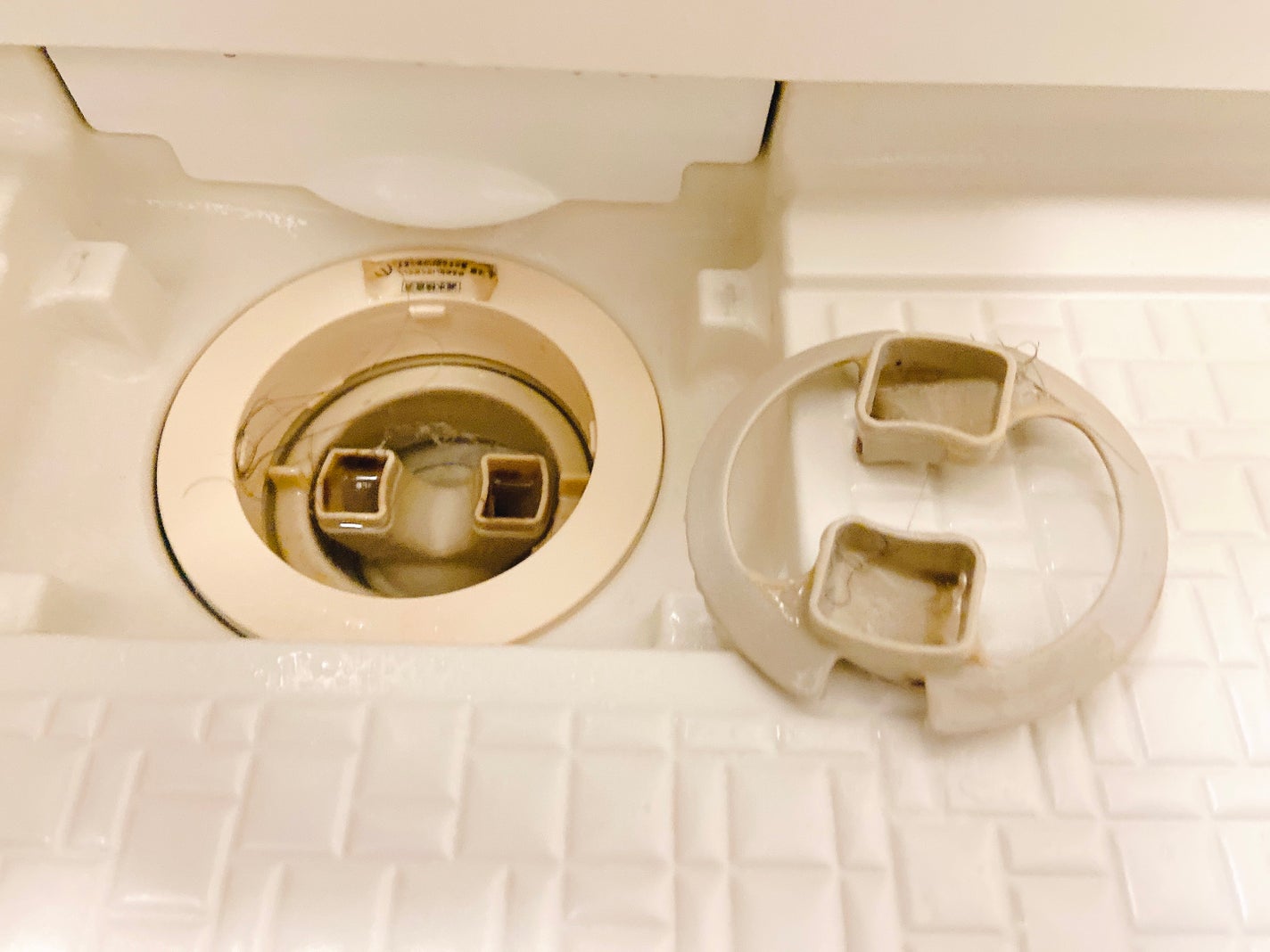 MOLD-X PRO./MOLD-X/その他を使ったクチコミ(8枚目)