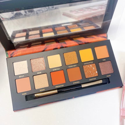 エクスプローラ12色 動物アイシャドウパレット/PERFECT DIARY/アイシャドウパレットを使ったクチコミ(4枚目)