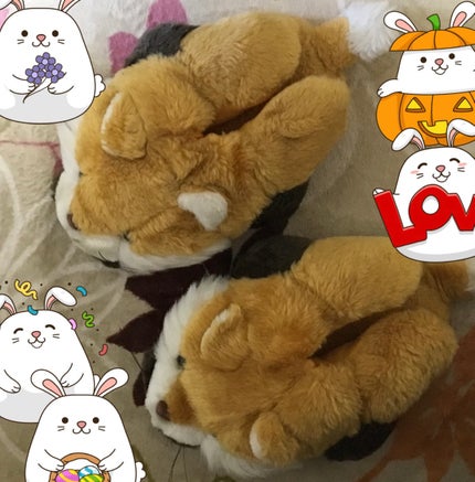 ð¯ð§žð¯ãã¥ãŒããŒãããŒð¯ð§žð¯ on LIPS ãè¶³å
ããå§ãŸããå¬ã®çŸæŽ»ã«ãŒãã£ã³çðŠã®ã¢ã³ã¢ã³ã«ãŒã ã·ã¥ãŒãº..ãïŒ1æç®ïŒ