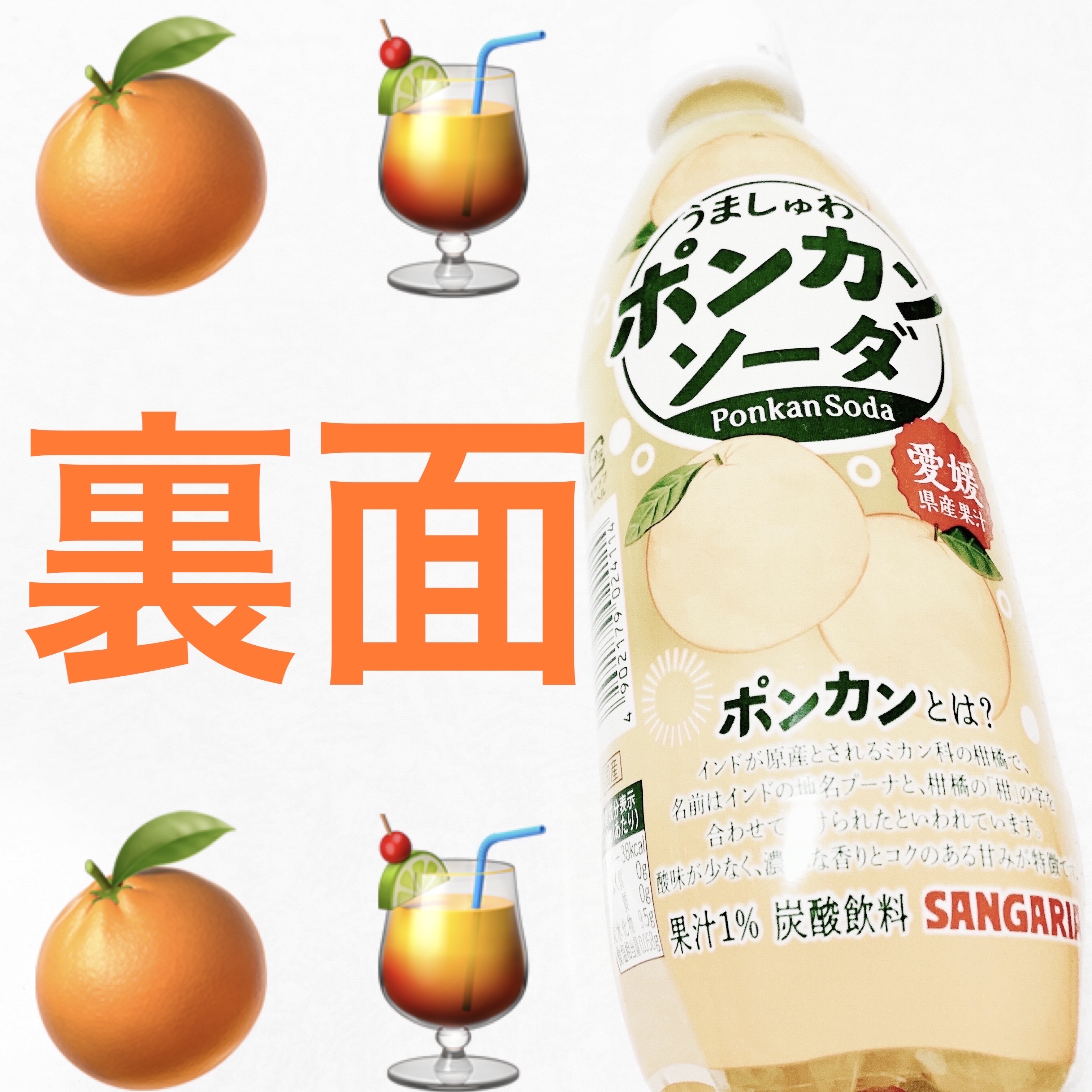 うましゅわポンカンソーダ/サンガリア/その他ドリンクを使ったクチコミ（2枚目）