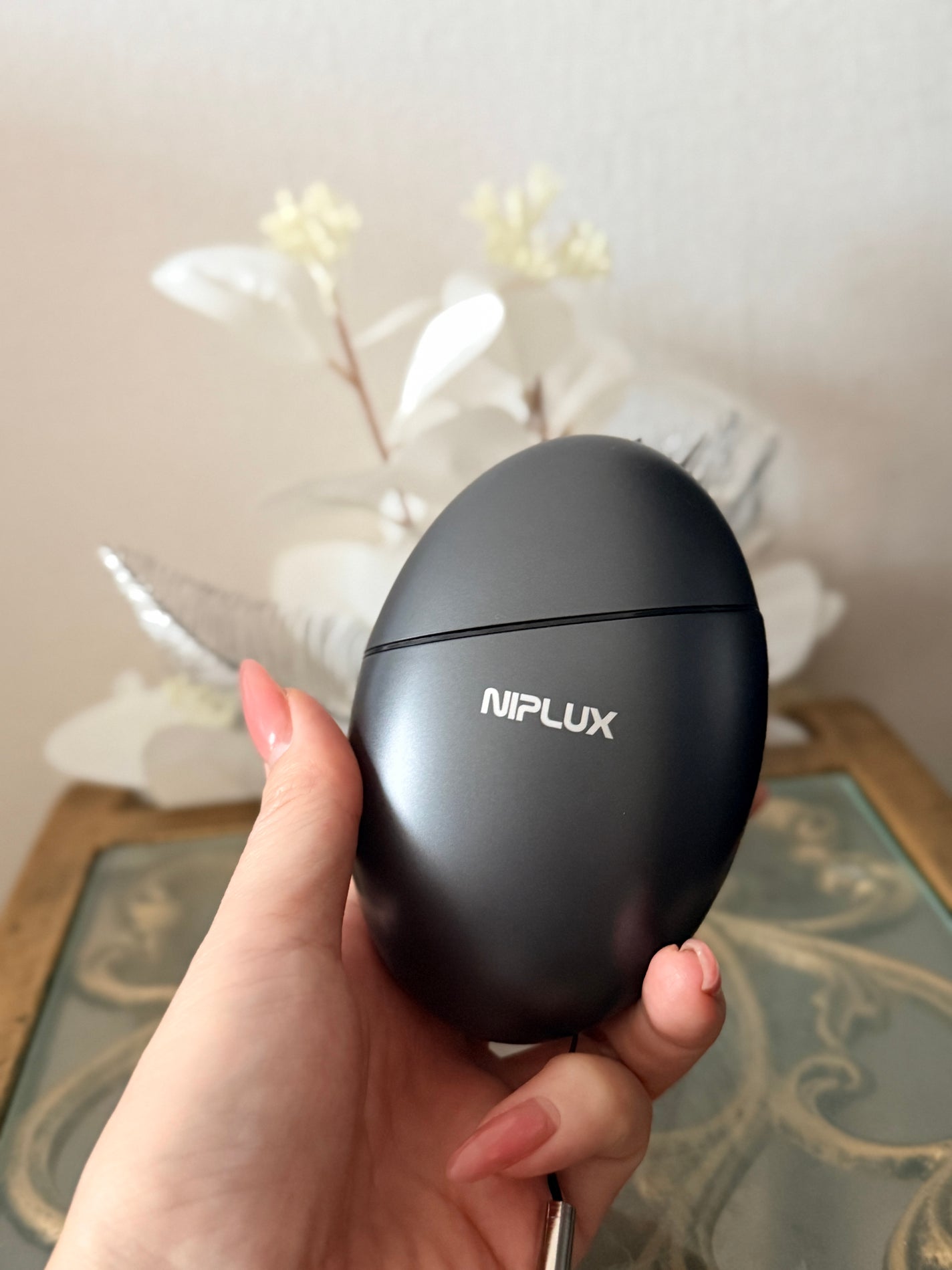 BEGUN/NIPLUX/美顔器・マッサージを使ったクチコミ(2枚目)