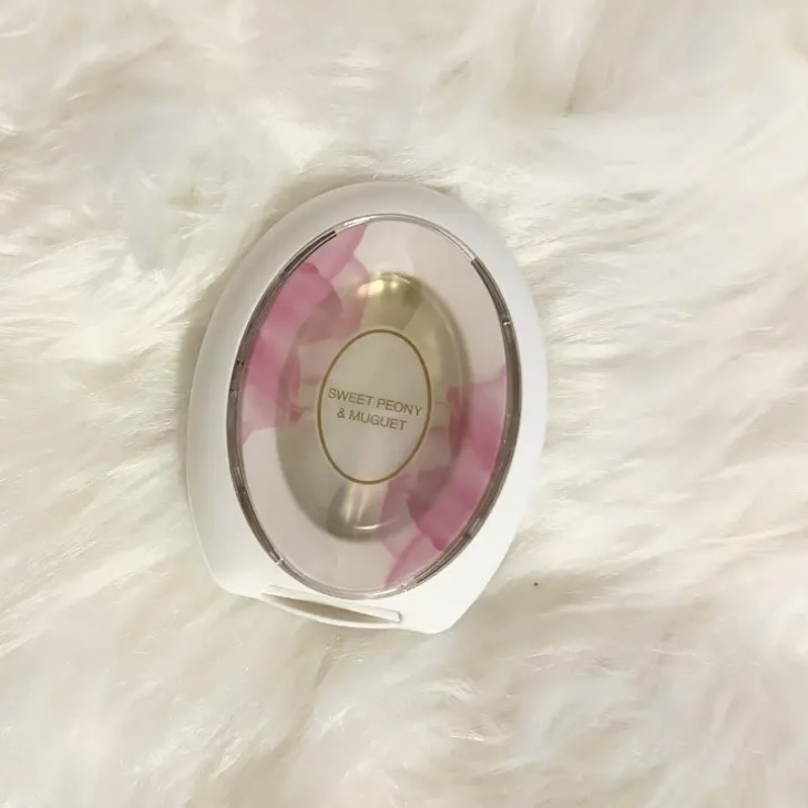 ファブリーズW消臭 玄関用消臭剤 置き型 ホワイト・ティー & リリー/ファブリーズ/その他を使ったクチコミ（1枚目）