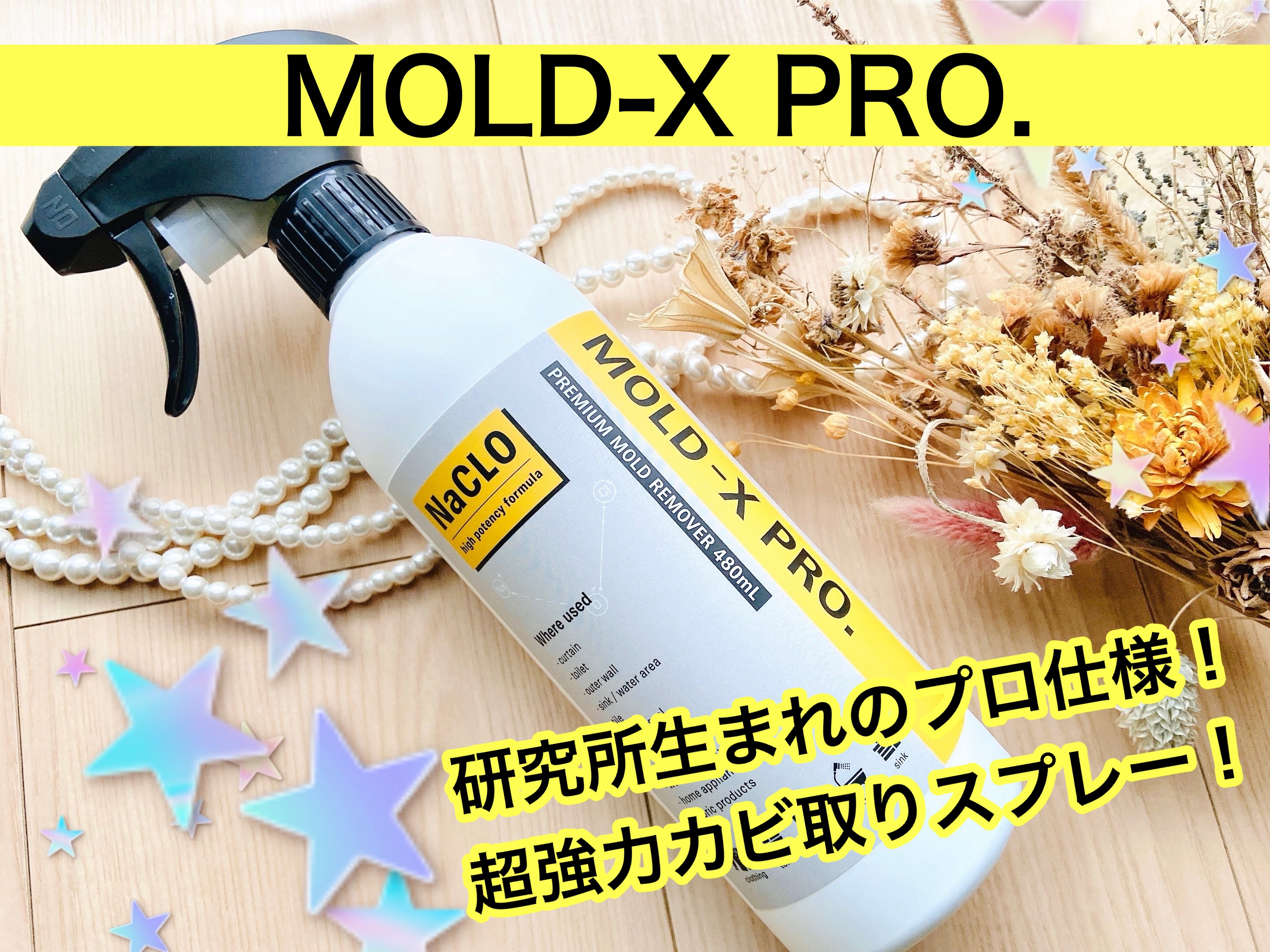 ※コエタスのモニターキャンペーンでいただいた、MOLD-X PR.についてのレビューです。
MOLD-X PRO.✨

カビ取りスプレーブランド、MOLD-Xより。
研究所生まれのプロ仕様！超強力カビ取りスプレー！

しつこいカビをなんとか