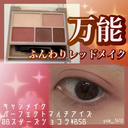 パーフェクトマルチアイズ/キャンメイク/アイシャドウパレットを使ったクチコミ(1枚目)
