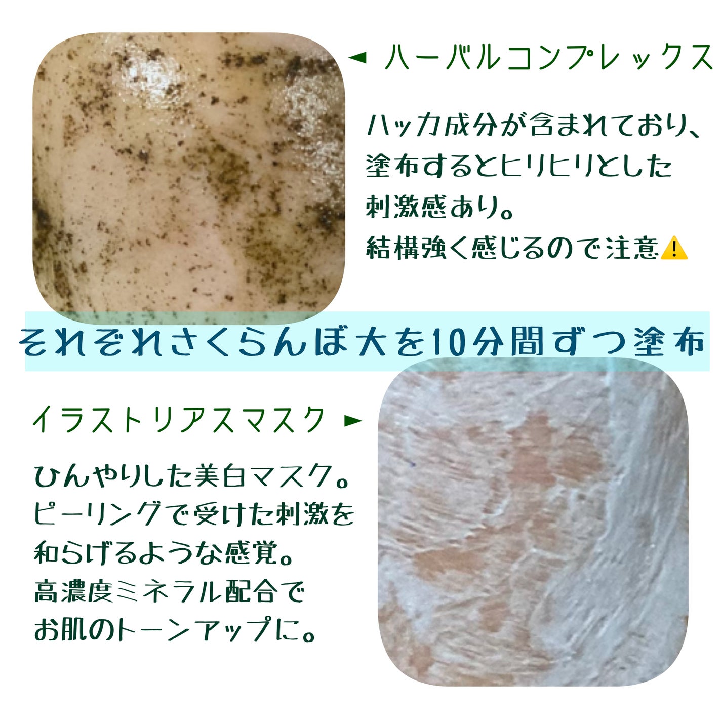 BIOPHYTO ハーバルコンプレックス/CHRISTINA/洗い流すパック・マスクを使ったクチコミ(2枚目)