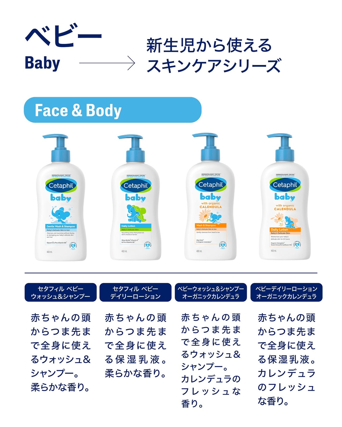 【公式】セタフィル on LIPS 「LIPSのみなさん、こんにちは💙\ひと目でわかる!セタフィル商..」(4枚目)