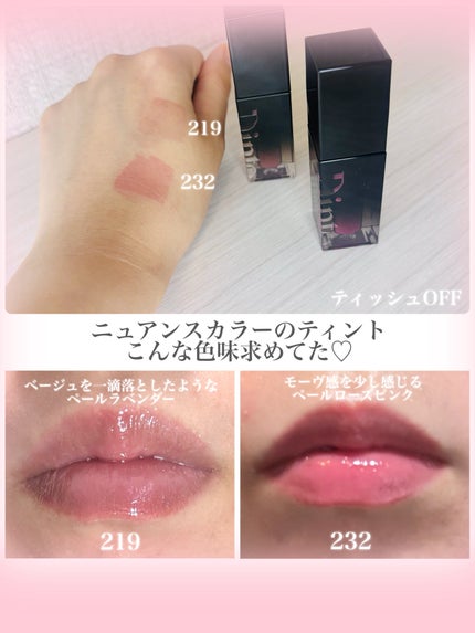 ブラーグロイリップティント 219/Dinto/リップティントの画像