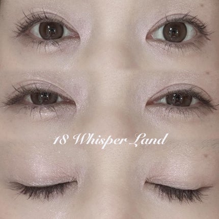 ベターミーアイパレット/2aN/マルチパレットを使ったクチコミ(4枚目)